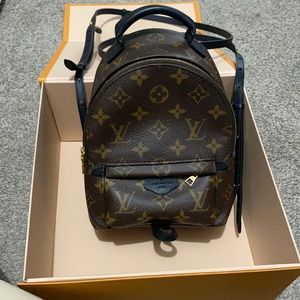 Louis Vuitton Palm Springs mini perfect condition